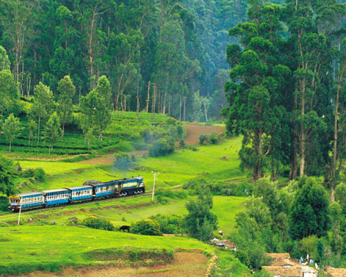 Tourist Places to Visit in Ooty