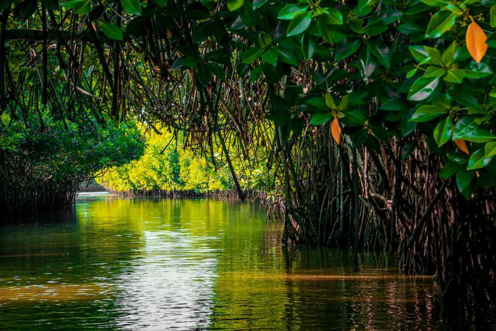 Tourist Places in Cuddalore District